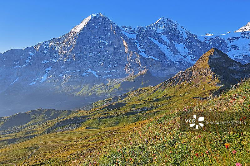 瑞士少女峰地区艾格峰和僧侣峰日出时分的高山草甸图片素材