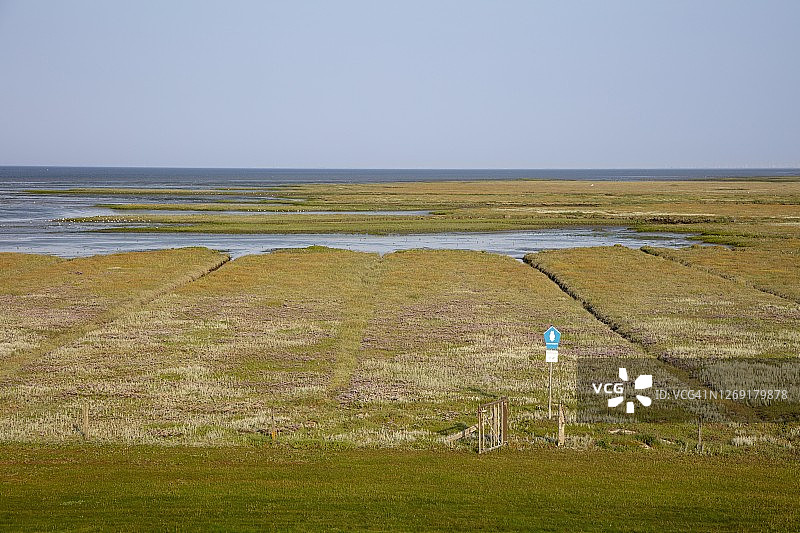 德国下萨克森瓦登海国家公园盐沼图片素材