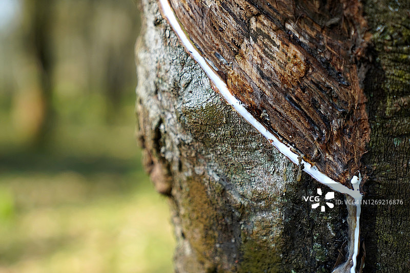 流体乳胶特写图片素材