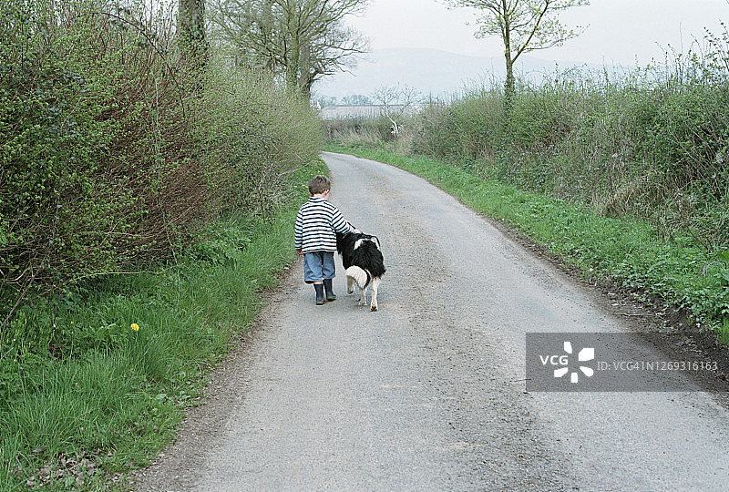 男孩和狗一起散步图片素材