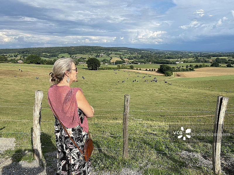 女人正在观看吃草的荷兰乳牛图片素材