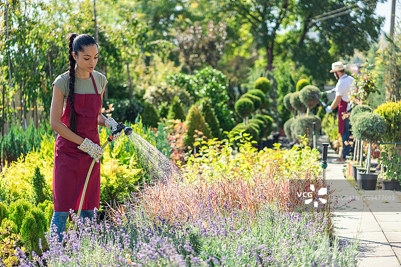 在园艺中心工作的园丁情侣图片素材