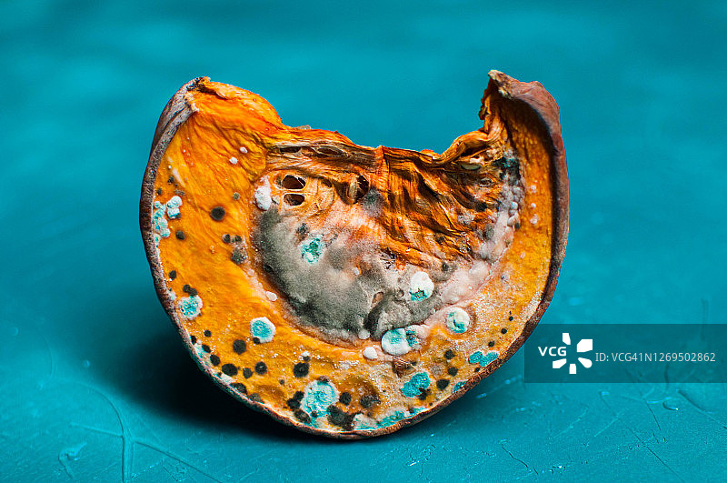 鲜艳的彩色南瓜片，在蓝绿色背景上有霉菌图片素材
