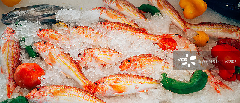 冰上的红鲻鱼图片素材