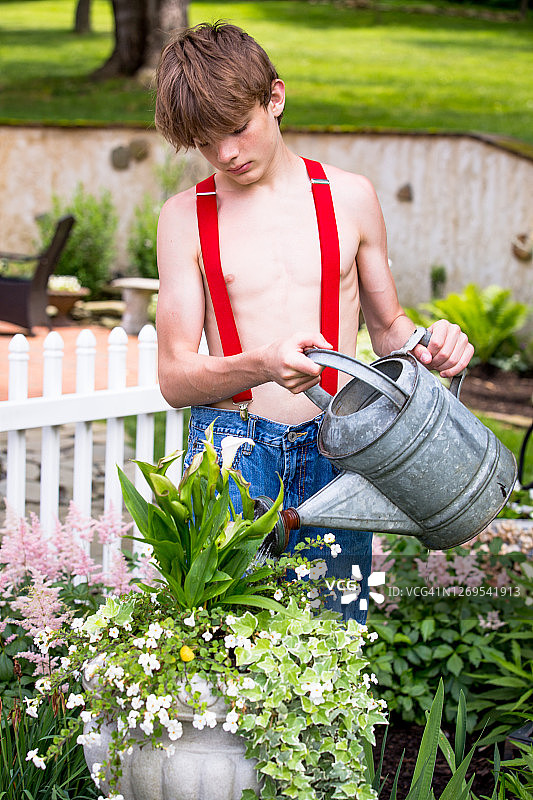乡村男孩在后院图片素材