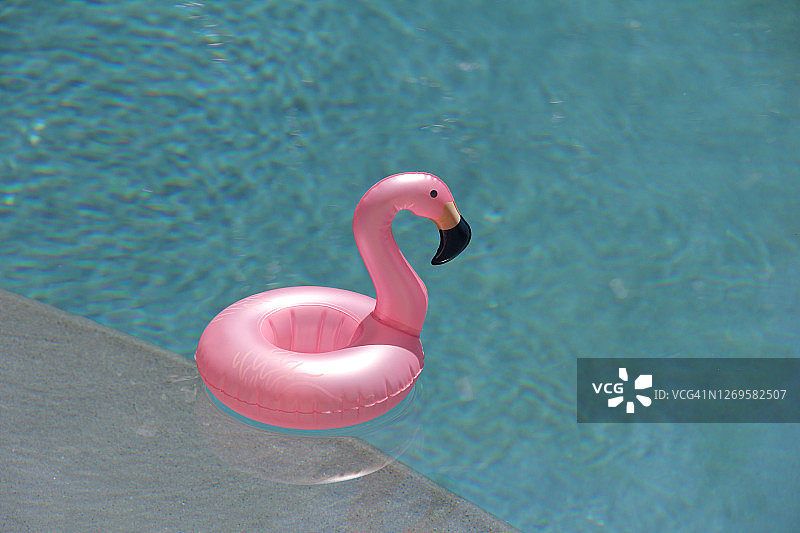 游泳池中的粉红火烈鸟泳圈图片素材
