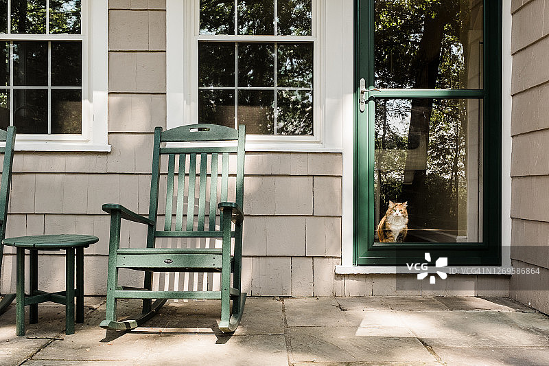 猫咪向门外看图片素材