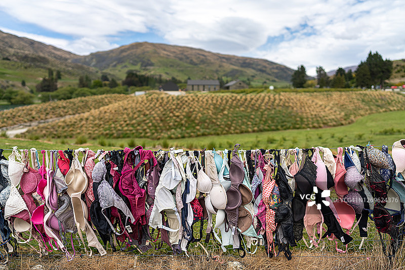 卡德罗纳胸罩围栏，新西兰图片素材