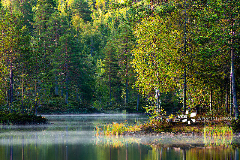 挪威森林美丽的早晨图片素材