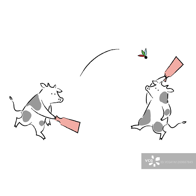 两头玩板羽球的牛图片素材