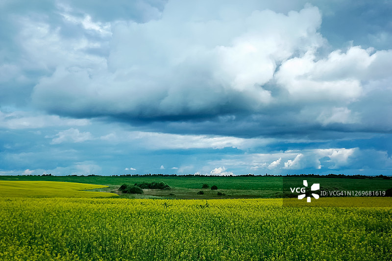 夏季盛开的田野上的暴风雨天空图片素材