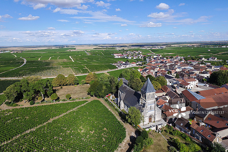 法国香槟区白丘奥热村的香槟葡萄园图片素材