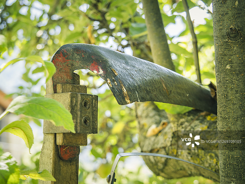 意大利阿尔卑斯山菜园中的园艺工具特写图片素材