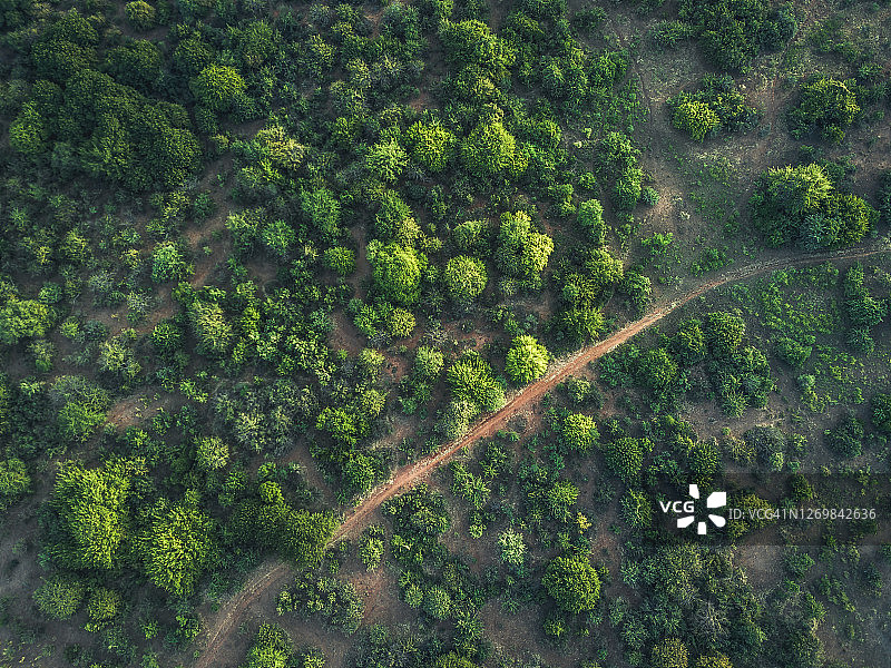 赞比亚赞比西河下游地区的绿色灌木地航拍图片素材