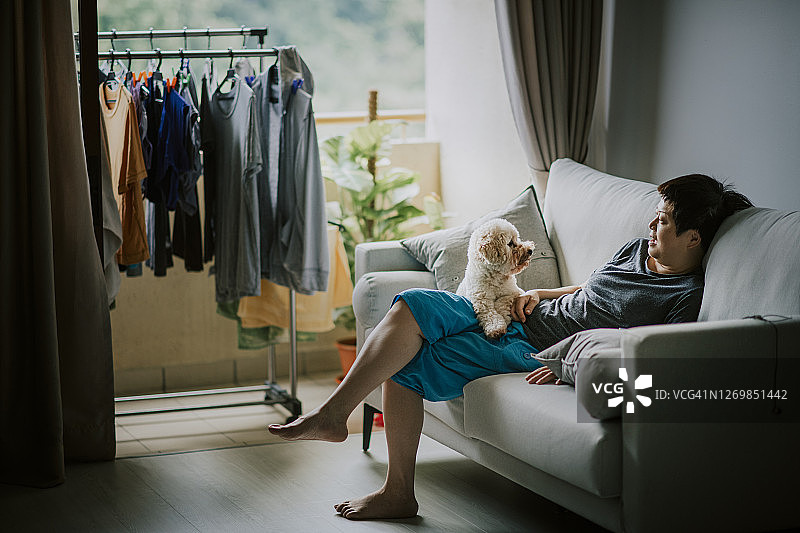 玩具贵宾犬与亚裔中国女人在沙发上互动图片素材