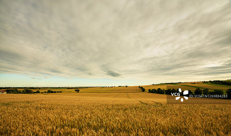 奥地利下奥州农业田地的风光图片素材
