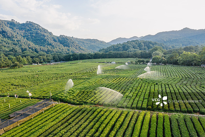 农场自动灌溉图片素材