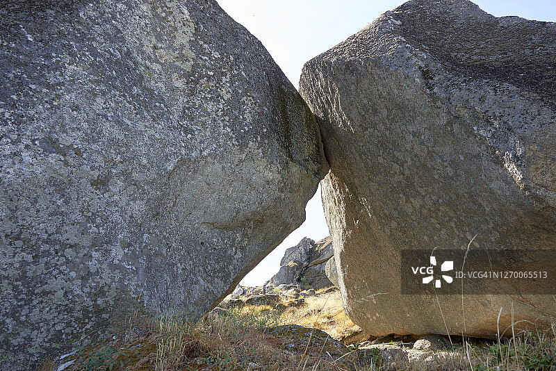 孟山都图片素材