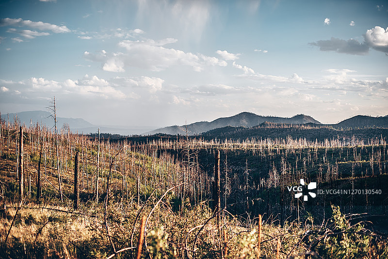 圣菲国家森林公园27图片素材