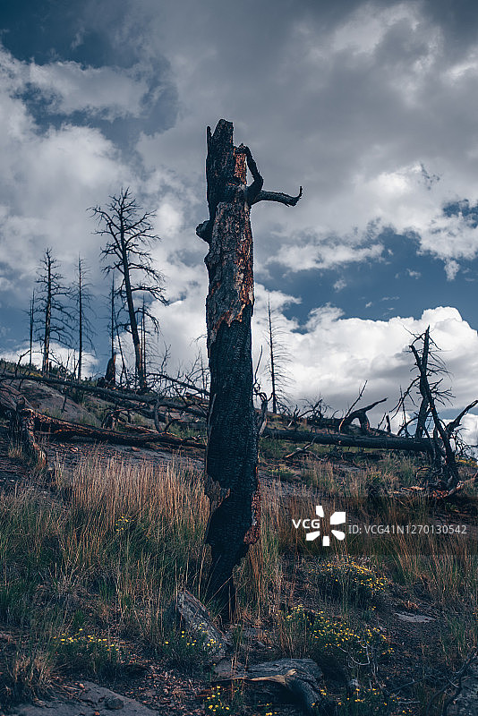 圣菲国家森林公园35图片素材