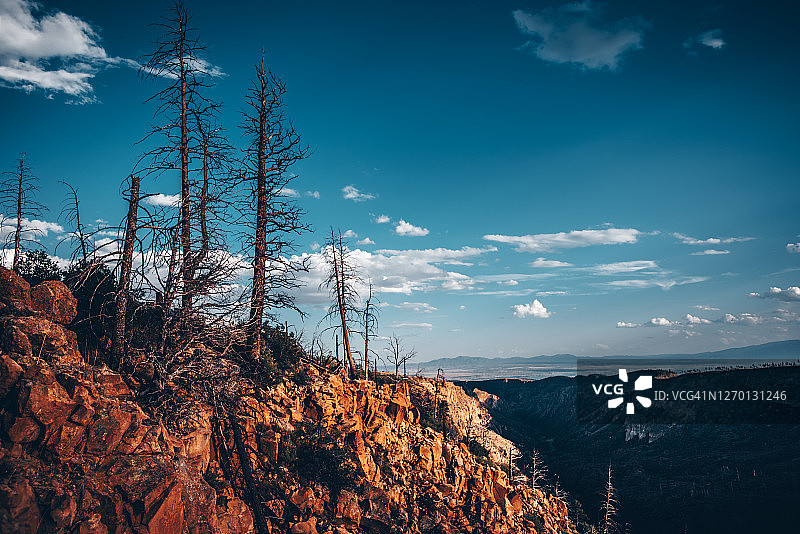 圣菲国家森林图片素材