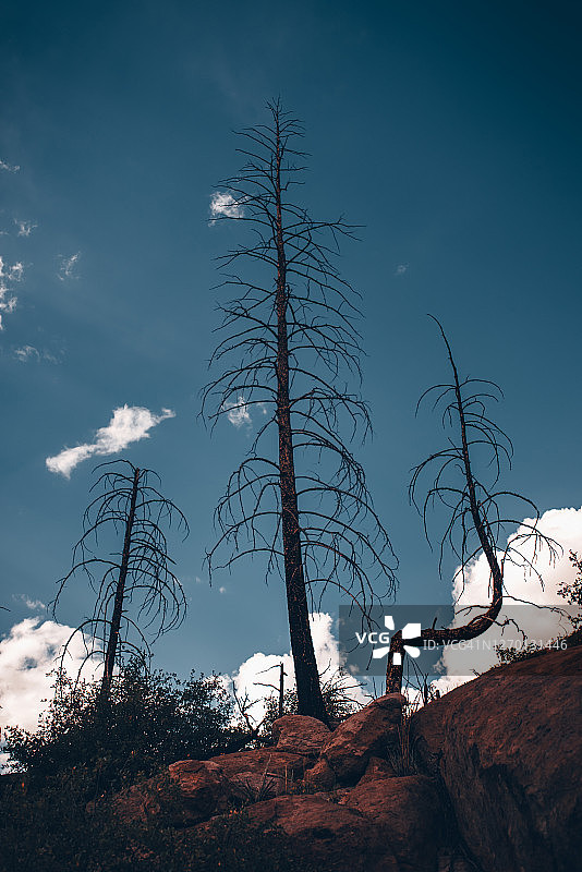 圣菲国家森林图片素材