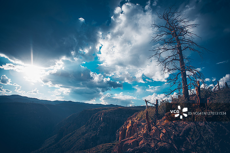 圣菲国家森林公园8图片素材