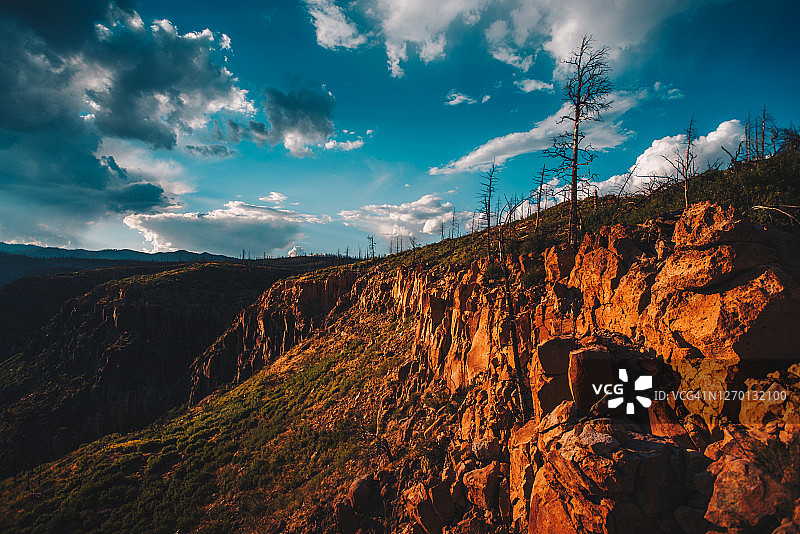 圣菲国家森林14图片素材