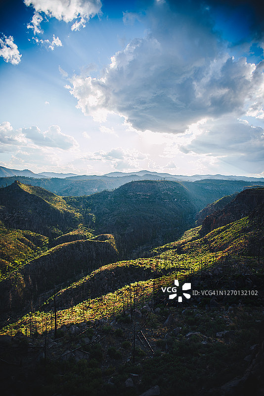 圣菲国家森林公园4图片素材