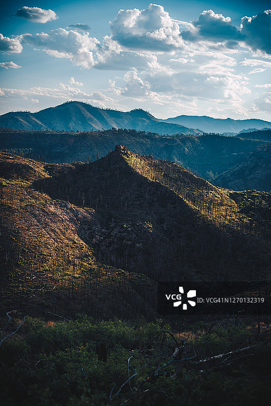 圣达菲国家森林公园37图片素材