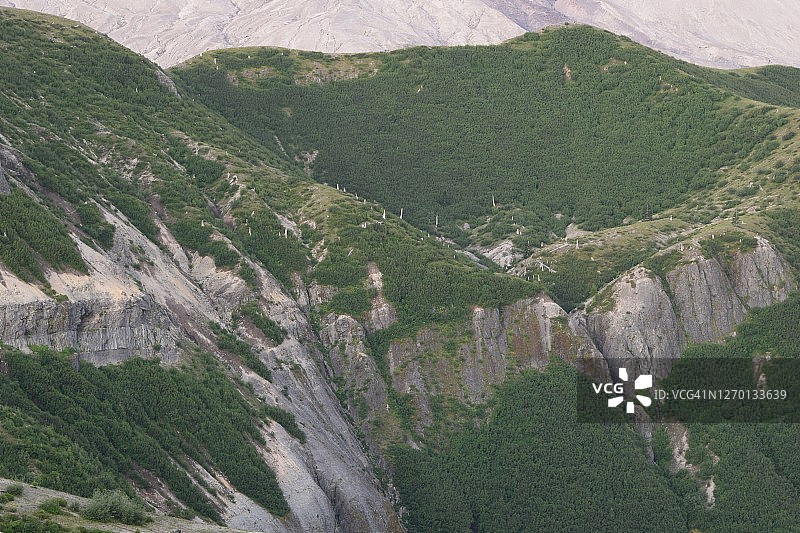 气势磅礴的茂盛山脊图片素材