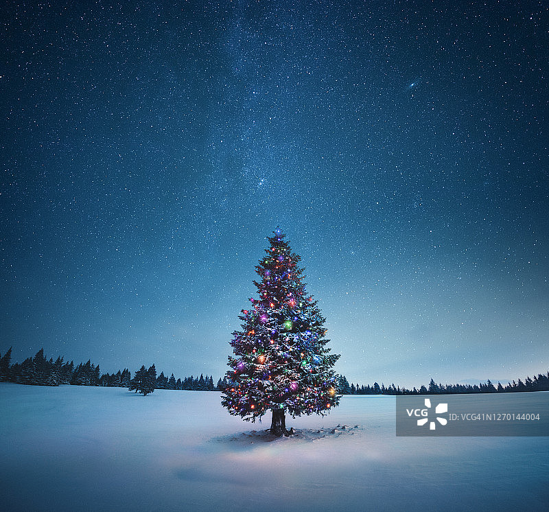 圣诞树图片素材