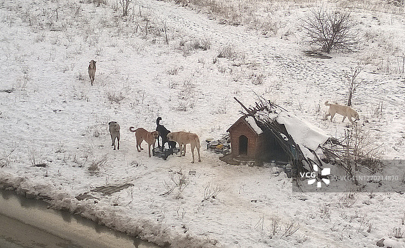 免费的图片素材