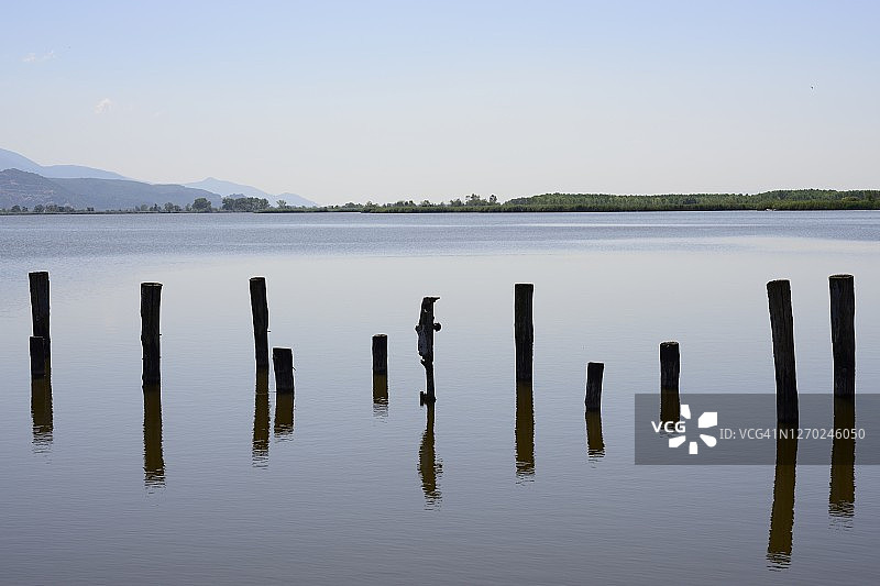 日落湖面木桩与水中倒影图片素材