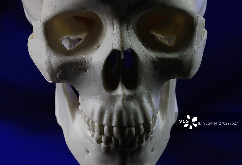 诡异骷髅脸图片素材