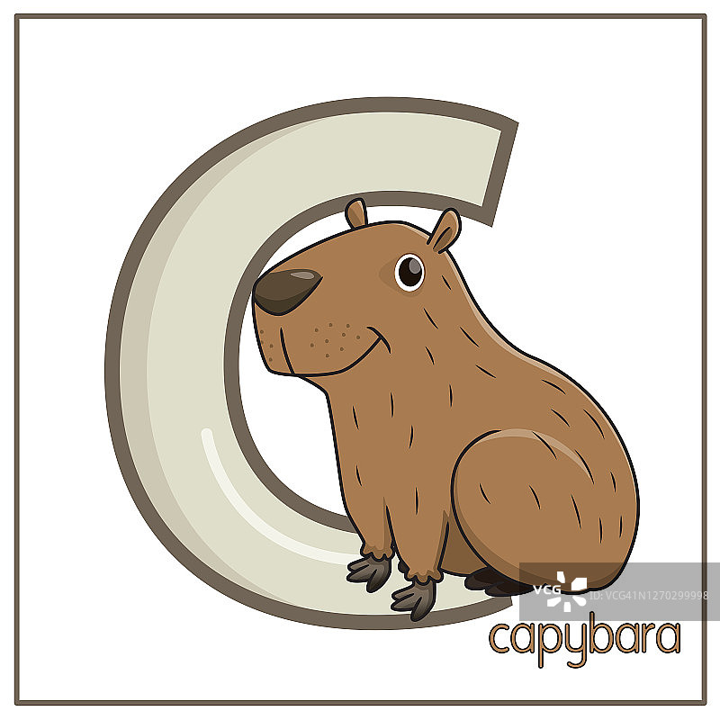 水豚微笑面部矢量插画，隔离在白色背景上，带有大写字母C，用作教学材料，让孩子们了解英文字母图片素材