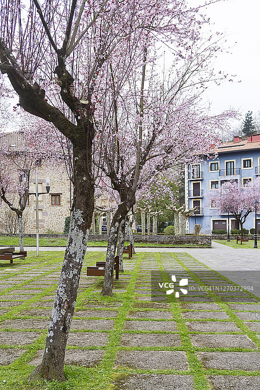 吉普斯夸省伊迪亚萨瓦尔镇图片素材