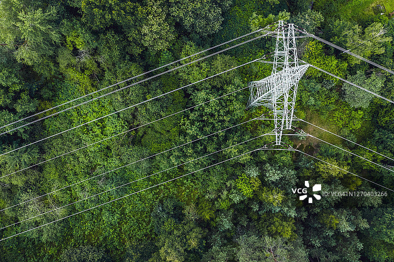穿过森林的电力线航拍景色图片素材