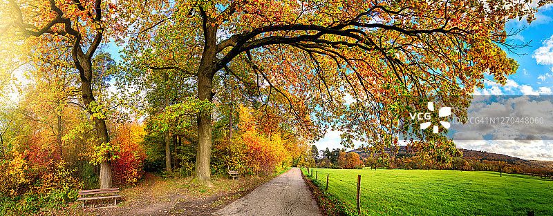 秋季乡村彩色全景图片素材
