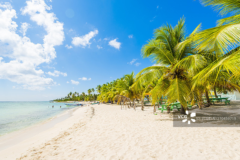多米尼加共和国绍纳岛的田园热带海滩图片素材