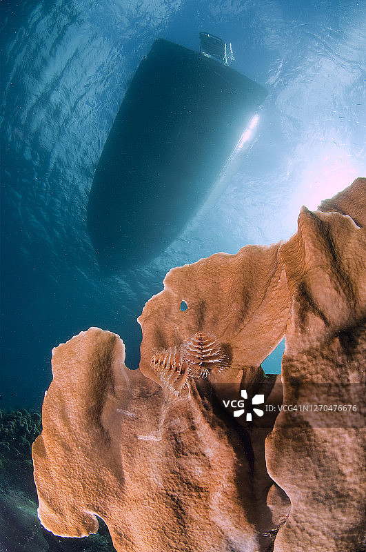 从底部看船，博内尔岛图片素材