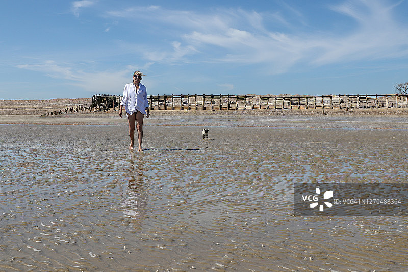 海滩上成熟的金发女士和小巴哥犬图片素材