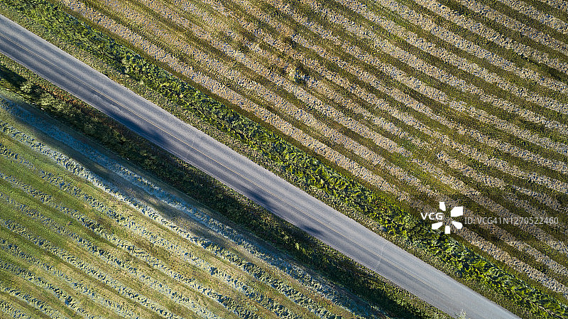 农业2020图片素材