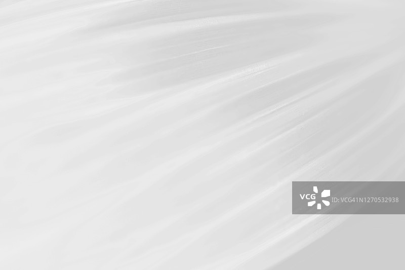 白色细长叶子的叶脉图片素材