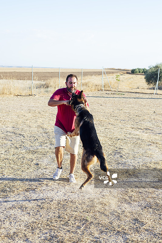 在田野上训练狗的快乐男人图片素材