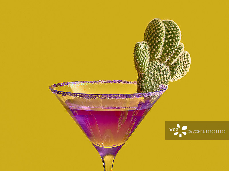 紫色玛格丽特酒与仙人掌装饰图片素材