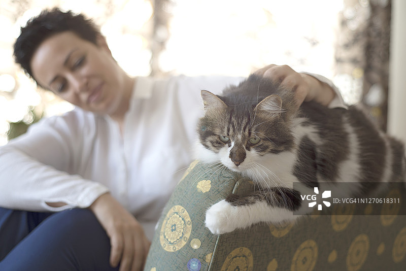 女人在家和她的猫玩耍图片素材