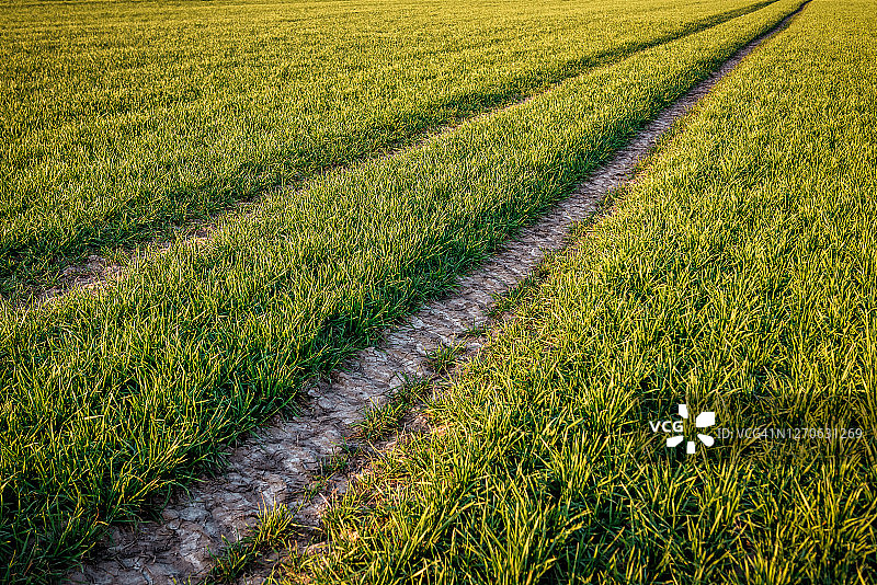 田野上的拖拉机轨迹图片素材