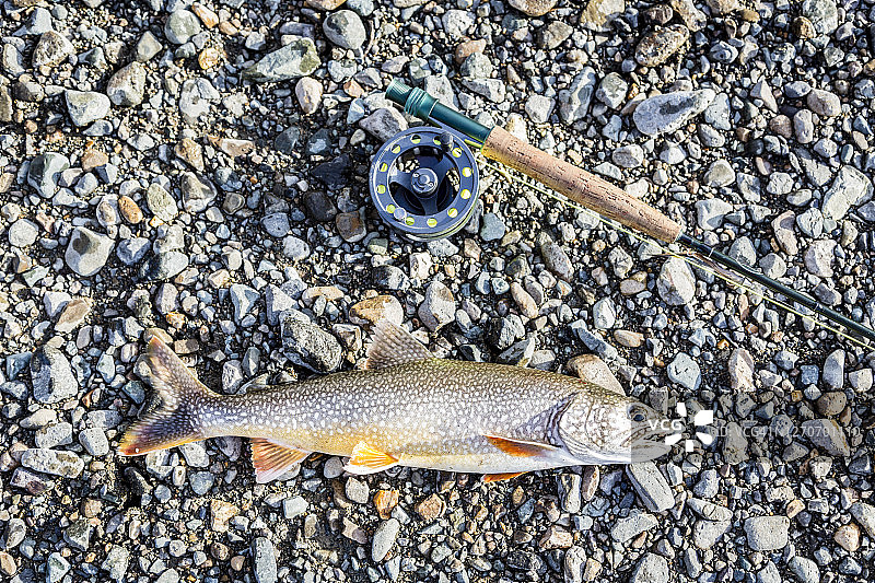 克拉克湖国家公园的湖鳟鱼和飞蝇钓鱼轮图片素材