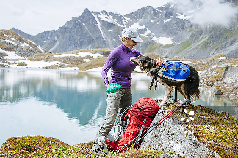 女徒步旅行者在阿拉斯加Talkeetna山脉的湖边小路上迎接一只狗图片素材